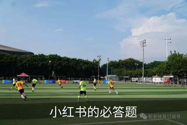 小红书的必答题