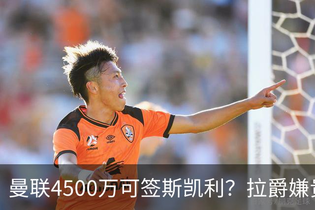 曼联4500万可签斯凯利？拉爵嫌贵已拒绝！但红魔仍未放弃追求霍尔